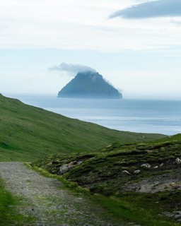 Road towards Sandvik