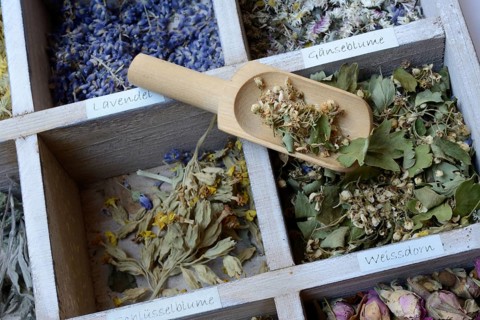 Various dried plants in wooden box with wooden shovel