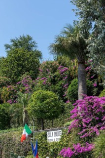 Trees and flowers at the pier