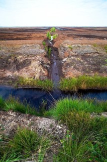 Moor landscape photograph