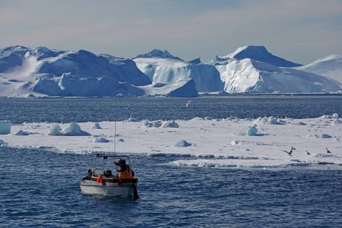 Small fishing boat in front of huge icebergs and drift ice