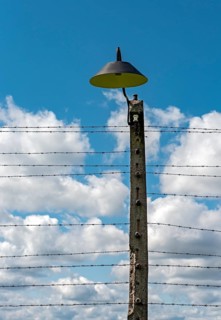 Barbed-wire fence and lamp-post at Auschwitz II-Birkenau concentration camp
