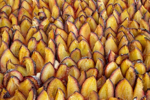 Plums on a plum cake