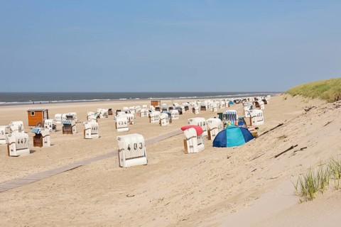 Beach chairs on the bathing beach