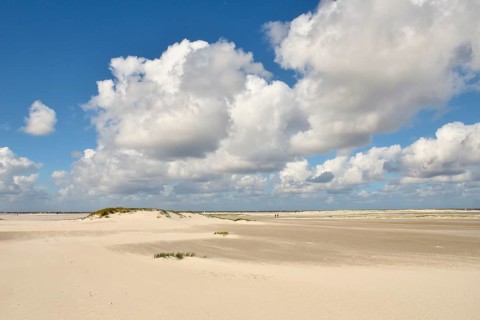 Foredunes on broad Kniepsand