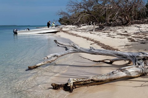 Boat with divers lands on beach with seaweed