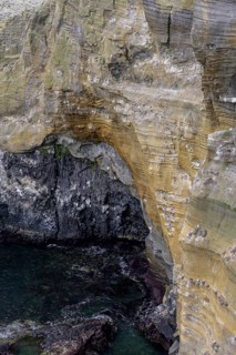 Breeding birds in the cliffs of Londrangar