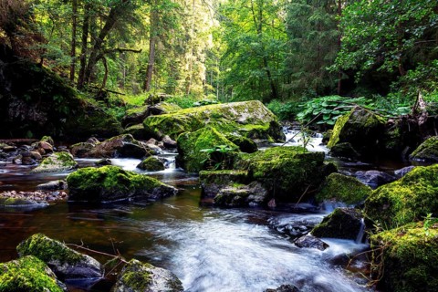 Haslach Gorge