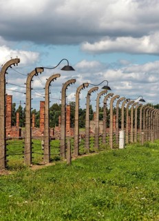 Barbed-wire fence and lamp-post at Auschwitz II-Birkenau concentration camp