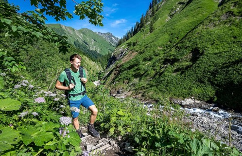 Hiker between flowers at a stream