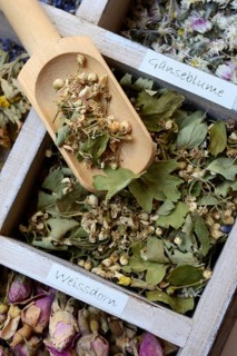 Various dried plants in wooden box with wooden shovel