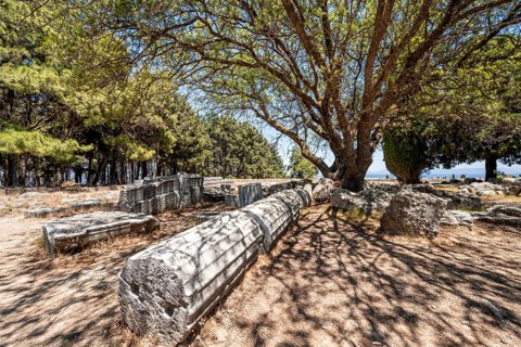 Overturned Roman columns under a tree