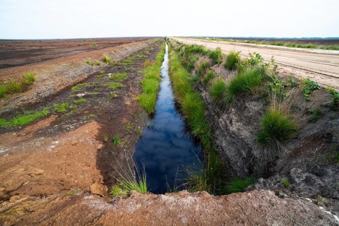 Moor landscape photograph