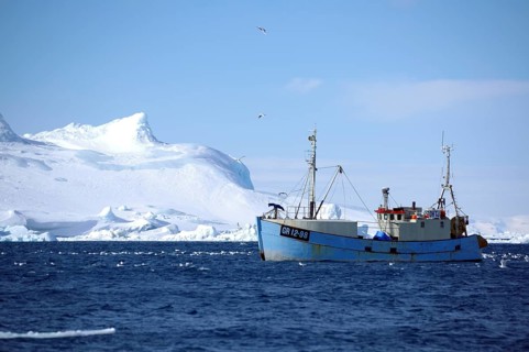 Fishing boat in front of icebergs