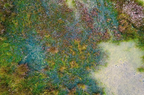 Moor aerial view