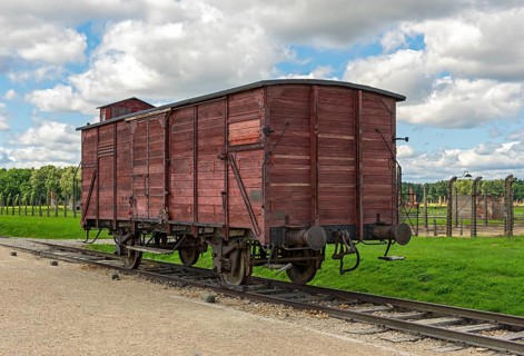 Freight wagon at Auschwitz II-Birkenau concentration camp
