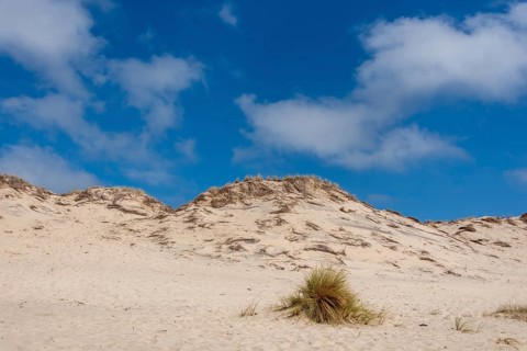 Sand dune on the Bay of Biscay