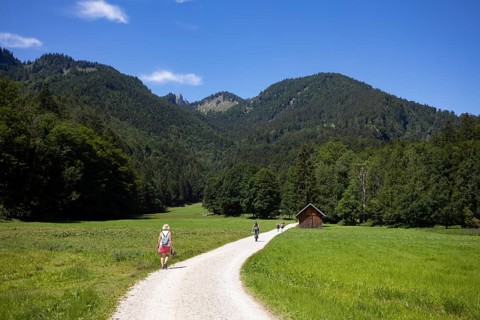 Hiker on the path from Schwarzensee to Moosalm Municipality of St.Wolfgang