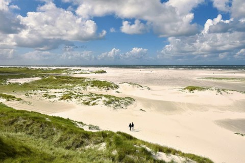 Foredunes on broad Kniepsand