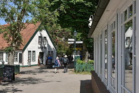 Crossing of Noorderloog and Noorderpad