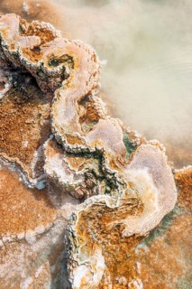 Detail photo