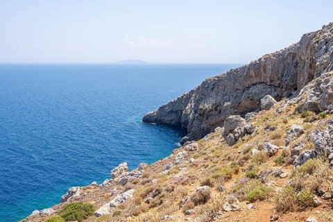 Dry landscape