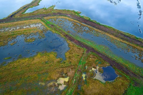 Moor aerial view