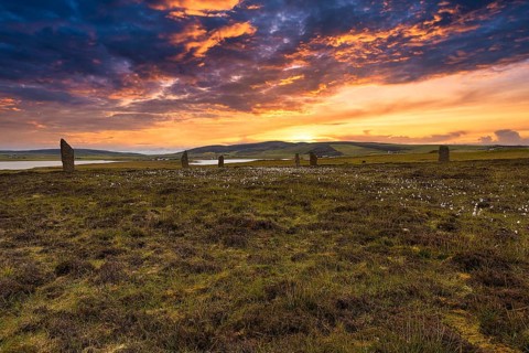 Meadow by a loch