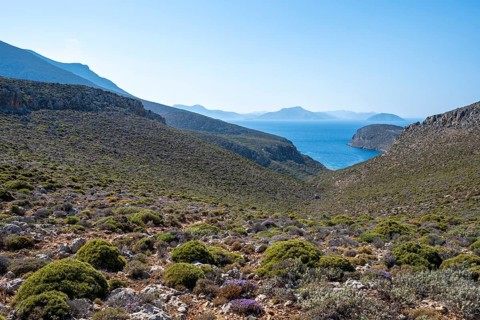 Coast and Sea