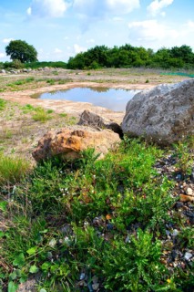 Amphibian spawning waters in the protected area