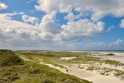 Foredunes on broad Kniepsand