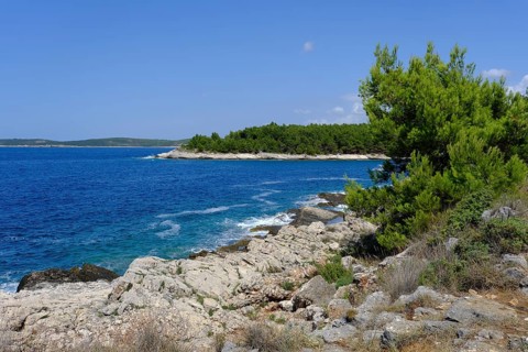Coast