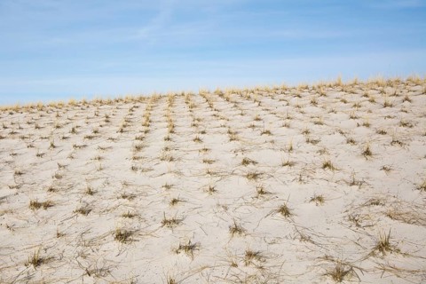 Sand dune