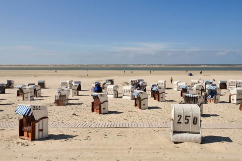 Beach chairs on the bathing beach