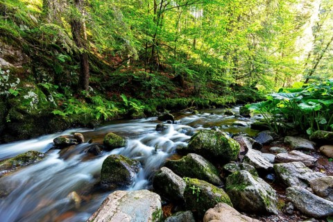 Haslach Gorge