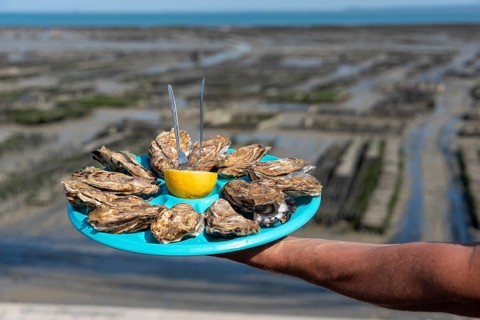 Man holding tray of fresh oysters