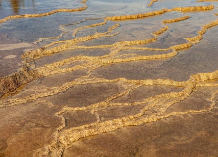 Sinter terraces
