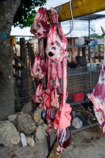 Heads and Offal for Sale