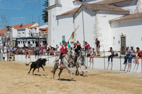 Wild bulls run and are led by riders in the streets