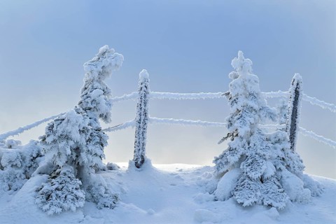 Winter Landscape