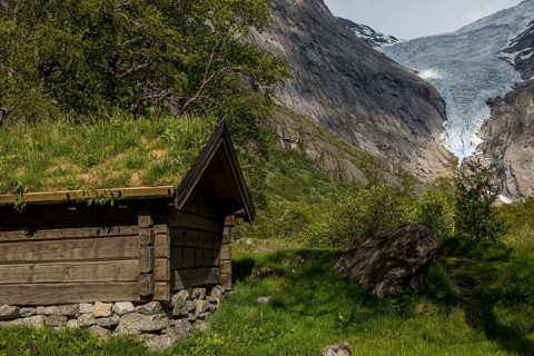 Shelter