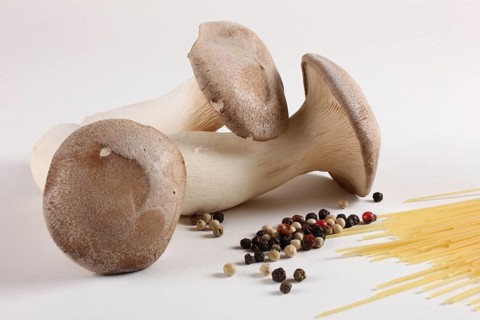 King trumpet mushrooms (Pleurotus eryngii) and peppercorns