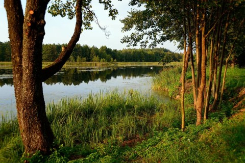 Lake