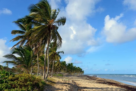 Beach near Uvero Alto