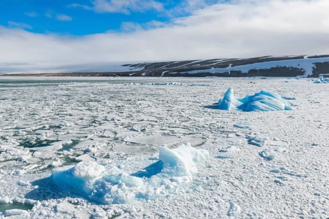 Palanderbukta