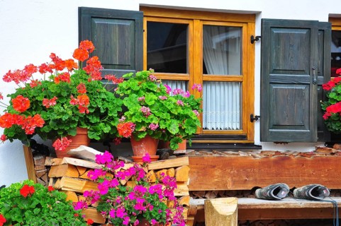 Flower windows