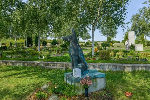 Pet Cemetery