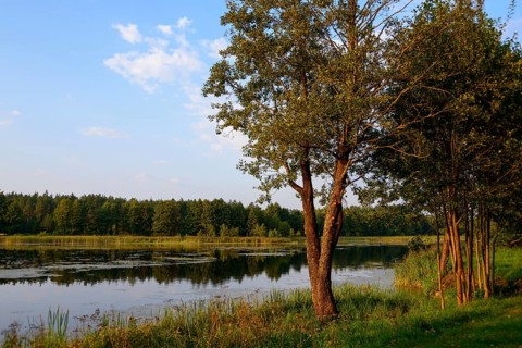 Lake