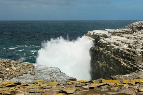 Sealion Island