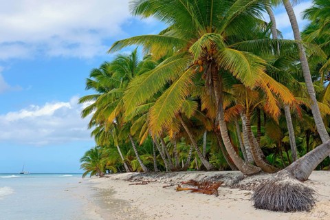 Palm Beach